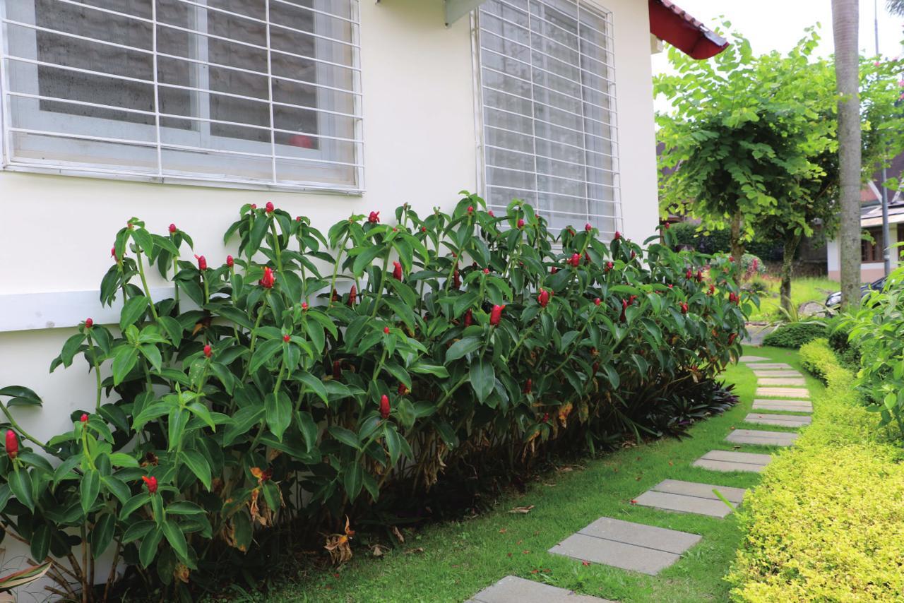 Diyar Villas Puncak M4/12 מראה חיצוני תמונה